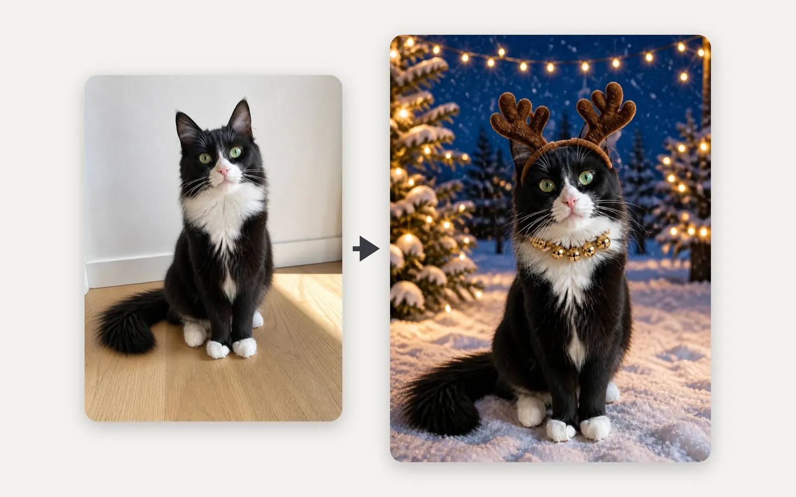 Left: a black-and-white tuxedo cat with green eyes sitting on a wooden floor. Right: the same cat in plush reindeer antlers and a bell collar in a snowy yard strung with fairy lights.