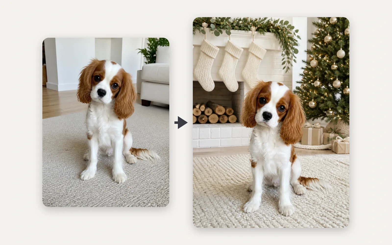 Left: a Cavalier King Charles Spaniel puppy with long chestnut ears sitting on a living-room rug. Right: the same puppy by a white fireplace with blank knitted stockings and a lit tree.