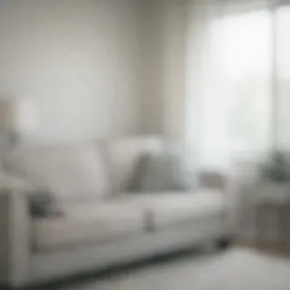 A blurred photo of a living room interior