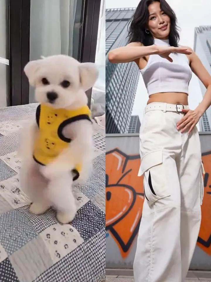 The two routines side by side: the small white dog dancing on its hind legs, and a woman in the chest pop pose with one arm flat across her chest