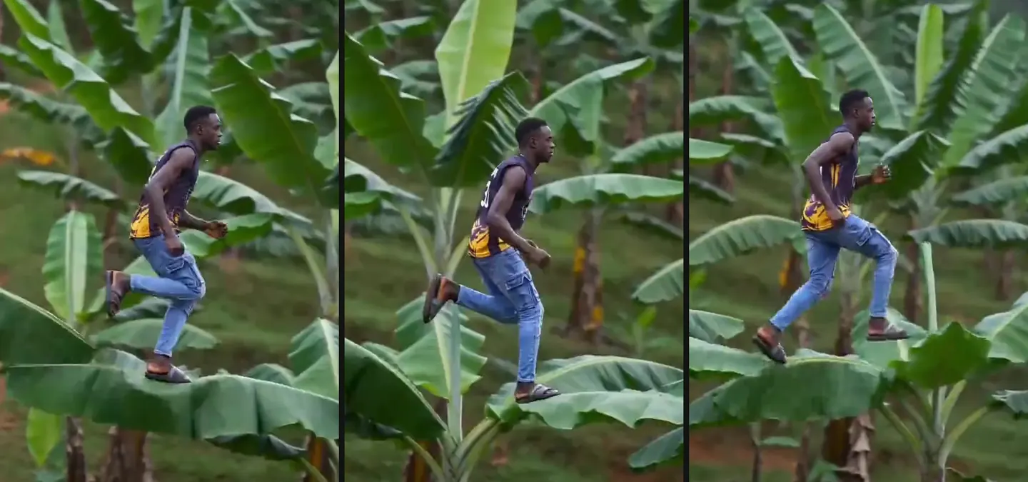 Three frames of the runner heading deeper into the banana plantation, seen partly from behind