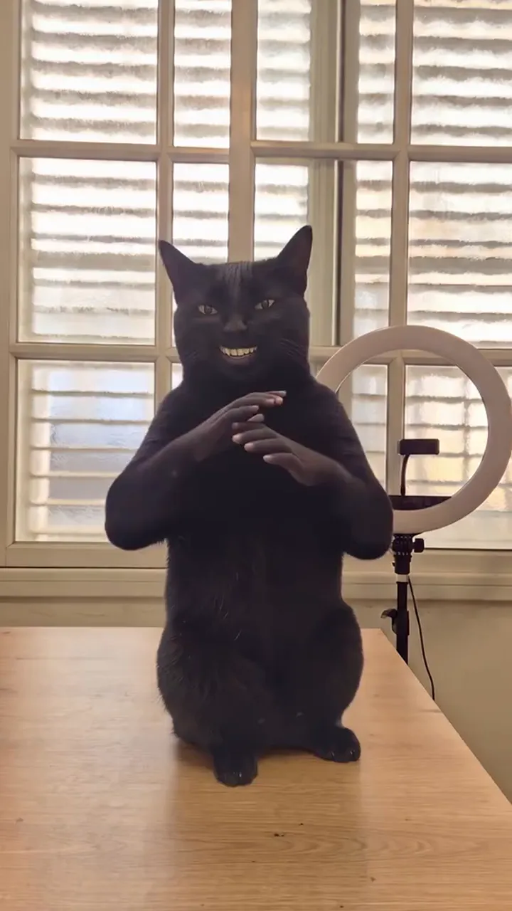 黑猫坐直在木桌上,露出人类牙齿咧嘴笑,两只小小的人手合在胸前
