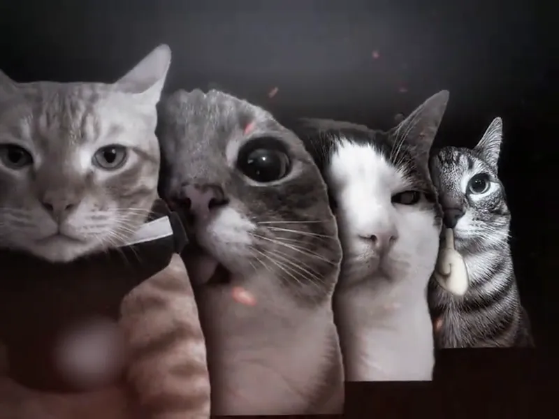 同样四个猫头左右翻转，大橘猫换到了左边