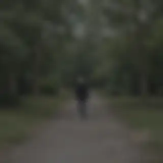 A small, dark and blurry snapshot of a person standing far away on a park path